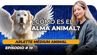 ¿Qué pasa cuando un animal muere?