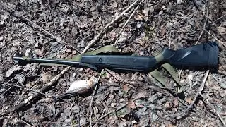 Охота с пневматикой