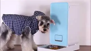 ⭐ 9 GADGETS para PERROS  [REGALOS] MAS VENDIDOS y que TU DEBERÍAS de TENER antes de que se AGOTEN