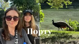 парк с павлинами I неделя влогов, день 2