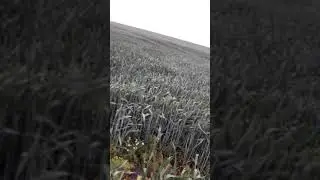 Z mojego 2 kanału wbijajcie w opis
