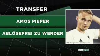 Werder mit echtem Transfer-Coup: Amos Pieper kommt ablösefrei von Arminia Bielefeld