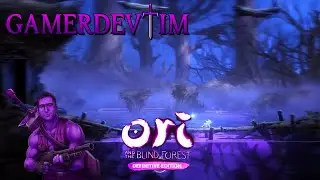 Ori And The Blind Forest Walkthrough 2
