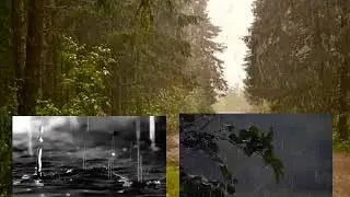 Караоке онлайн. Игорь Корнелюк - Дожди (b-track.com)
