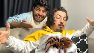24 SAAT BOYUNCA ŞAKA YAPTIM !? 😂 *Kışkırtma*