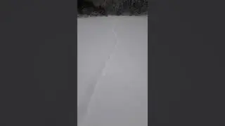 Волчий дозор .