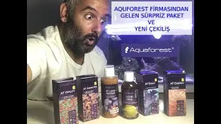 REEF AQUARIUM | SURPRISE AQUAFOREST PACK | GIVEAWAY | Mehmet Hakan TATLICI