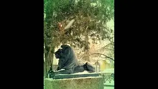 Крещенский снег над донской столицей