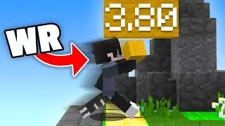 Minecraft's Hardest World Record...