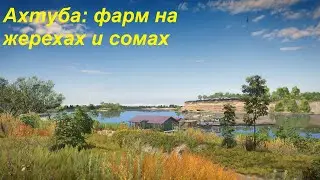 Русская рыбалка 4, RF4, РР4 - Река Ахтуба. Жерех, сом. Фарм
