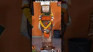 Maha shivratri 2024 | National Park | #minivlog #shorts