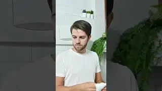 MAI prendere un Gatto 🐱 