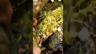Звук родниковой воды