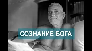 Сознание бога. Просветление Шри Рамана Махарши. Сатсанг 6