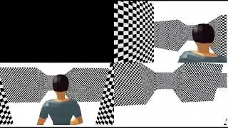 3D Monster Maze - split-screen multiplayer