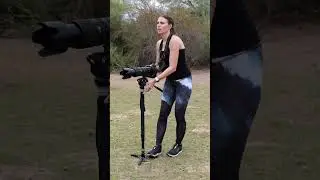 I Wouldn't Have Been Able to Do Wildlife Photography without this Monopod