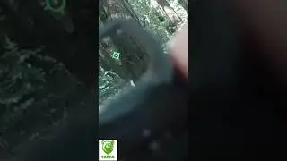 Холодная пристрелка.