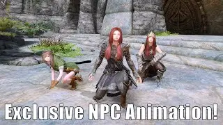 Skyrim Mods: Exclusive Animation for ALL NPCs!