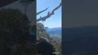 The big walk Mt buffalo extended version 2024