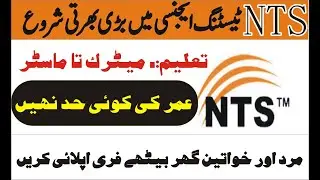 National Testing Services NTS Jobs 2022 Apply Online