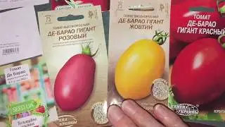 Seeds of the most invincible, popular and delicious tomatoes De-Barao.
