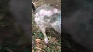 VID 20190729 WA0006