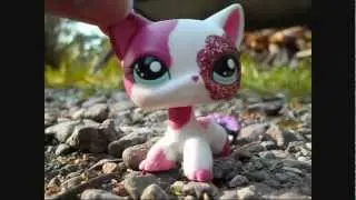 ★ LPS ~ Popular ★ - 9 HD