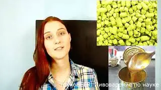 техноBEER  Пивоварение по науке