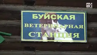 Актуальное интервью с гл. ветврачом Г.В. Смирновой. Птичий грипп
