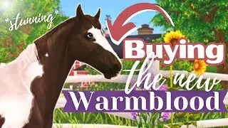 My New FAVORITE Horse on Star Stable