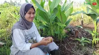 GARDEN ACTIVITIES WHILE DISAPPEARING