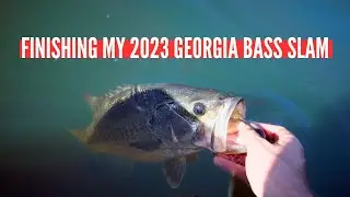 Completing My 2023 Georgia Bass Slam