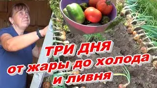 ТРИ ДНЯ ОТ ЖАРЫ ДО ХОЛОДА И ЛИВНЯ