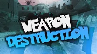 Weapon Destruction