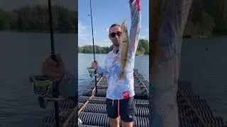 Перебирайте приманки и поймаете свою рыбу 