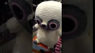 Пимпа накурило