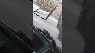HAMANN вне закона?