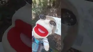 old man pops