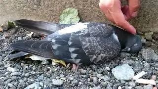 Дон Хуан что то сказал, а я запомнил это на всю жизнь.