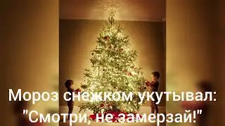 В лесу родилась ёлочка (фингерстайл)