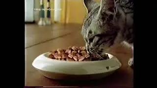 Реклама Whiskas Нежное канапе с индейкой и цыплёнком 2003-2004 Новогодняя