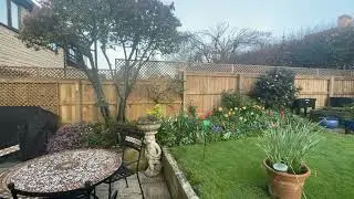 Sneaky peak at the Back Garden at 6:30am!
