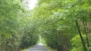 ПОЛЬША ТЫ УДИВЛЯЕШЬ, ЕДУ И УДИВЛЯЮСЬХ