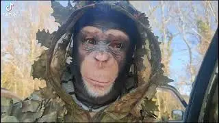 Человек обезьяна 🐒🐒🐒