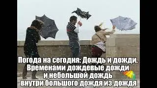 Осенний дождь - искупались, постирались...   101