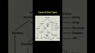 Types of data types 😧 