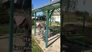 Ставим бассейн
