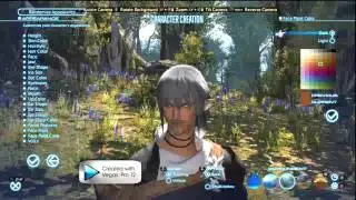 FFXIV ARR - Character Creation Gameplay/Let's Play