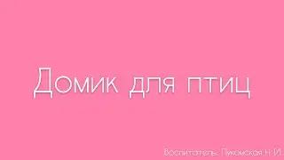 Конструирование. «Домик для птиц»