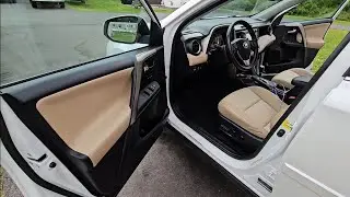 Part 2.Professional In Car Detail, with only 3 cheap chemicals from your local retail store.